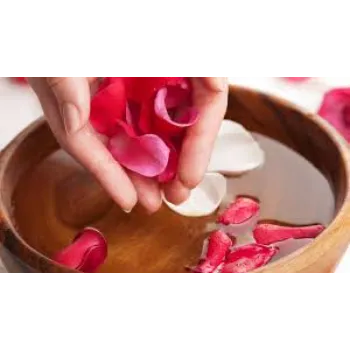 Colorfull Rose Petal